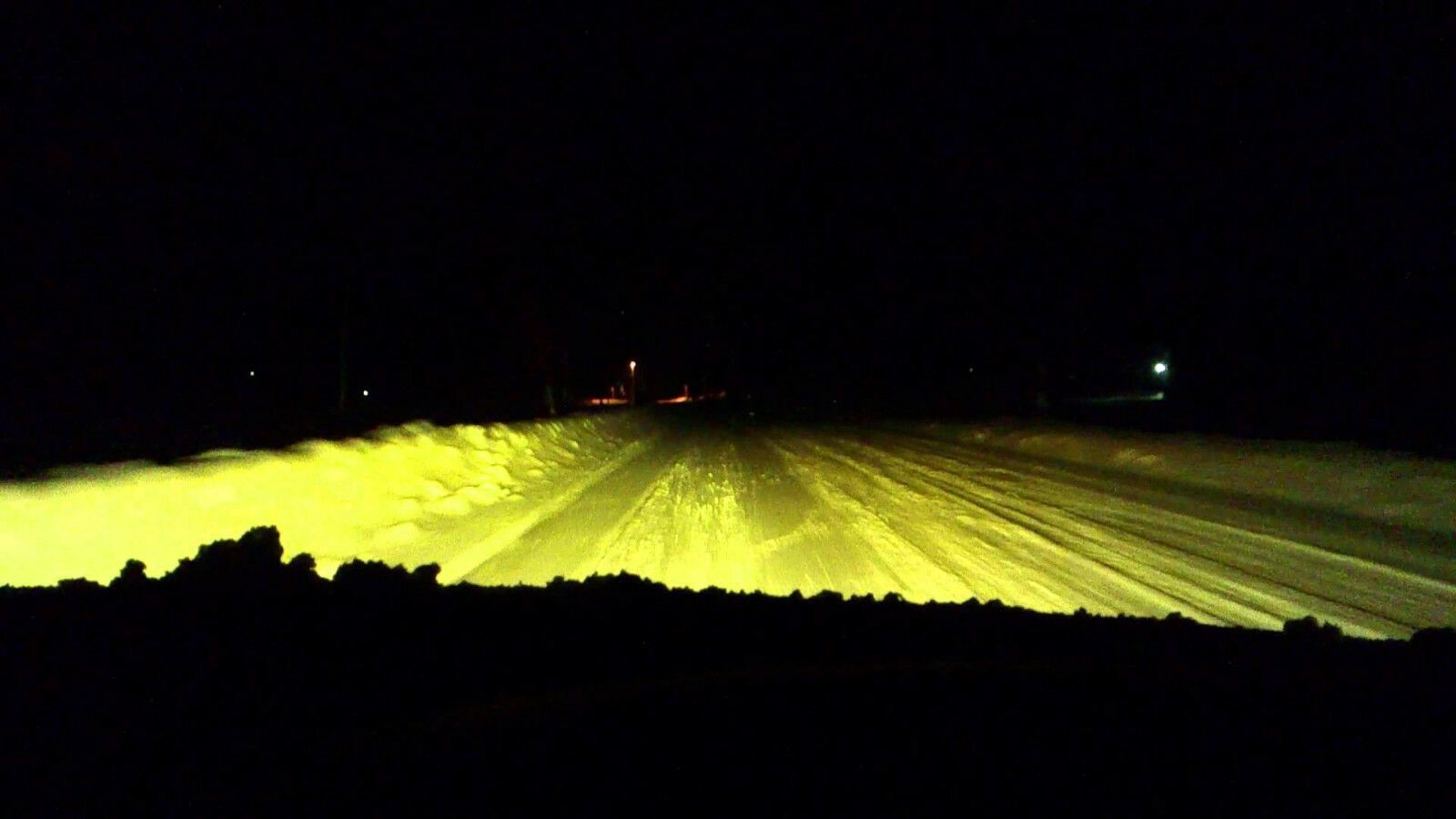 12v H1 448 55w Limastar Golden Yellow Halogen Bulbs (PAIR)