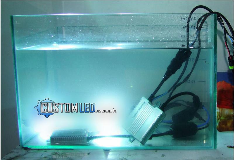 Custom LED 12v H10 Smart Canbus HID Kit