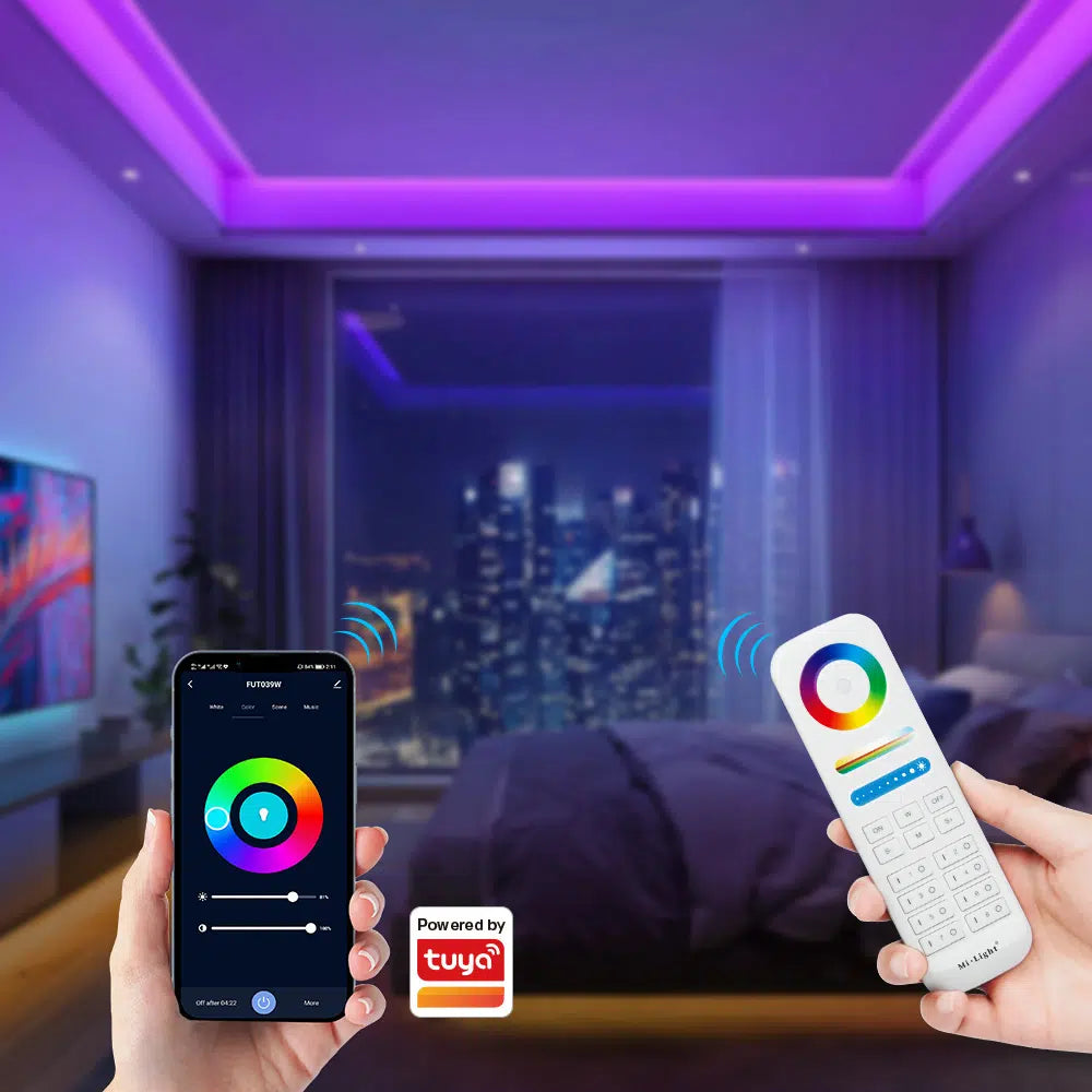 Mi Boxer RGB RGBW CCT 2.4G RF 3 in 1 Receiver E3-WR