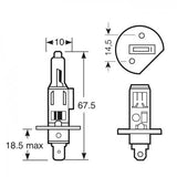 H1 448 55w OEM Replacement Bulbs (10 PACK)